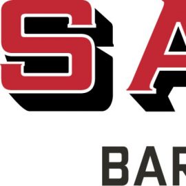 Salut Bar Americain Franchise Competetive Data